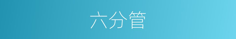 六分管的同义词