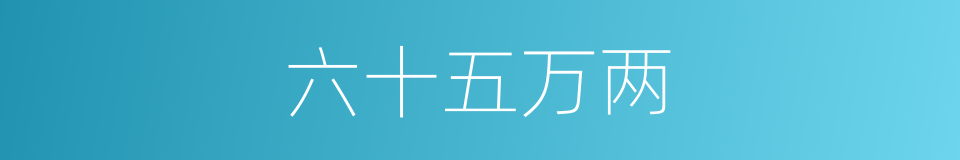 六十五万两的同义词