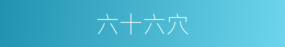 六十六穴的同义词