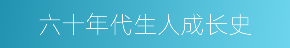 六十年代生人成长史的同义词