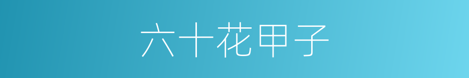 六十花甲子的意思