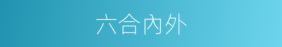 六合內外的同義詞