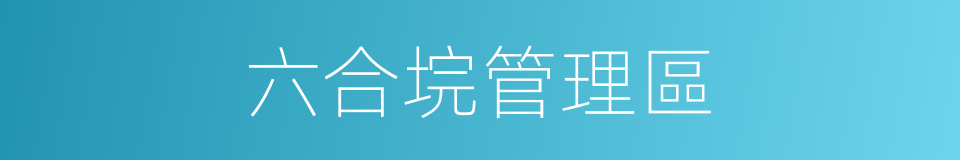 六合垸管理區的同義詞