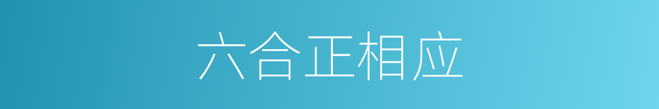 六合正相应的同义词