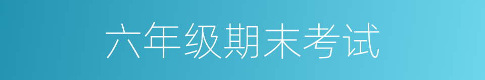 六年级期末考试的同义词