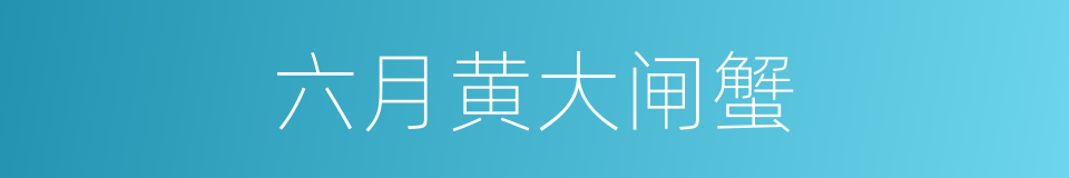 六月黄大闸蟹的同义词