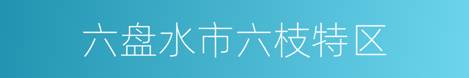 六盘水市六枝特区的同义词