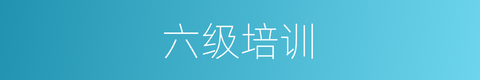 六级培训的同义词