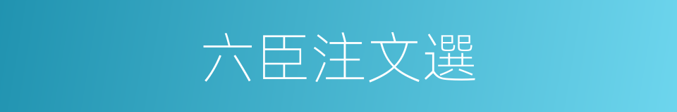 六臣注文選的同義詞