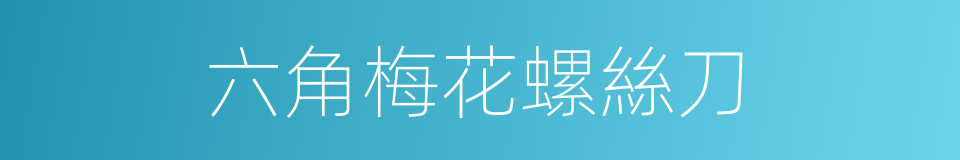 六角梅花螺絲刀的同義詞