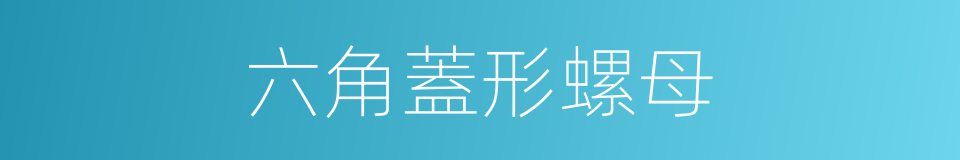 六角蓋形螺母的同義詞