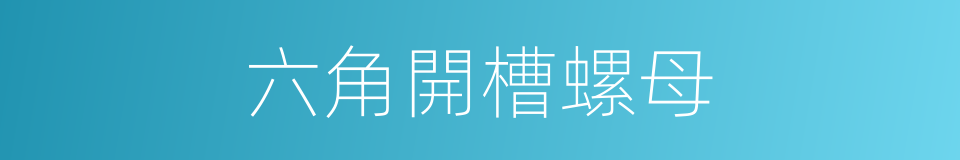 六角開槽螺母的同義詞