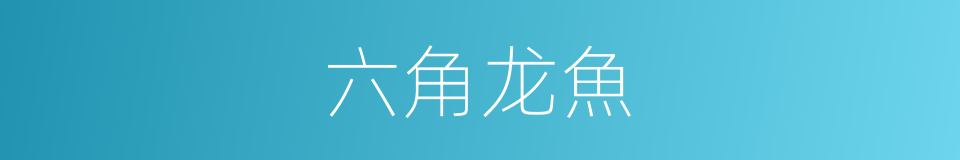 六角龙魚的同義詞
