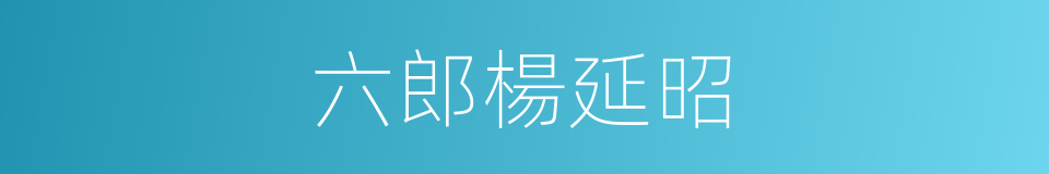 六郎楊延昭的同義詞