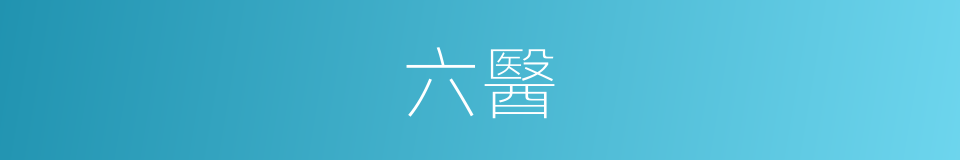 六醫的同義詞