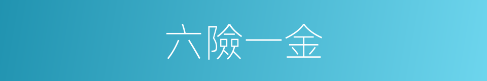 六險一金的同義詞