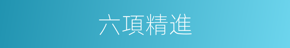 六項精進的同義詞