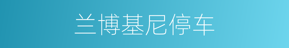 兰博基尼停车的同义词