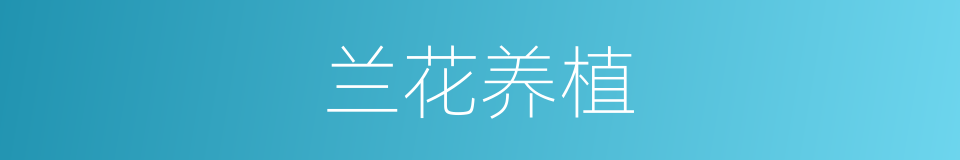 兰花养植的同义词