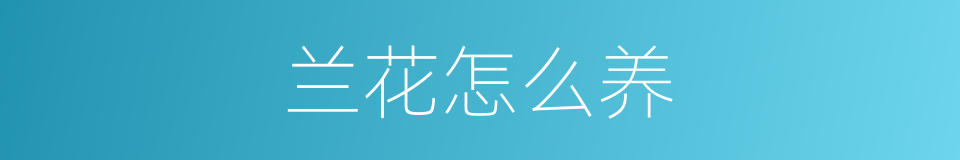 兰花怎么养的同义词