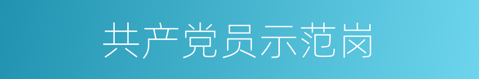 共产党员示范岗的同义词