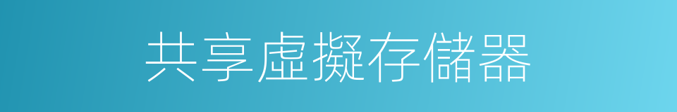 共享虛擬存儲器的同義詞