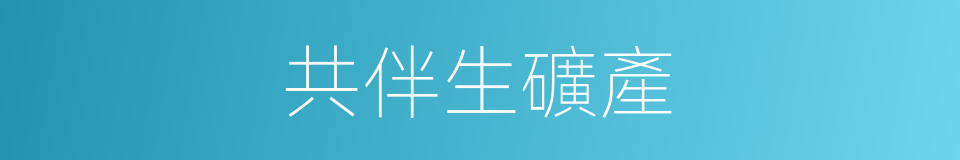 共伴生礦產的同義詞