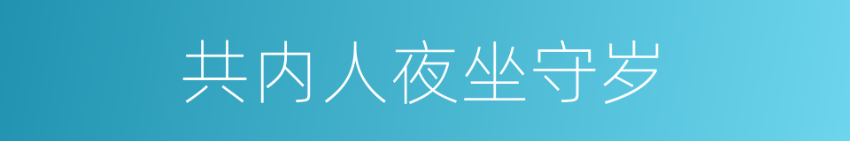 共内人夜坐守岁的同义词