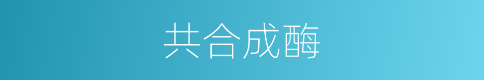 共合成酶的同义词