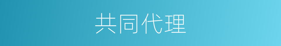 共同代理的同义词