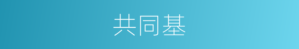 共同基的同义词
