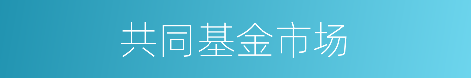 共同基金市场的同义词
