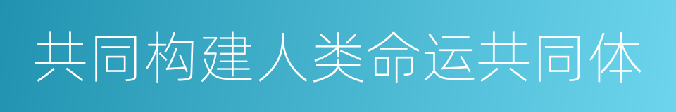 共同构建人类命运共同体的意思