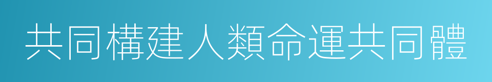 共同構建人類命運共同體的意思