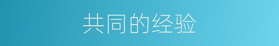 共同的经验的同义词