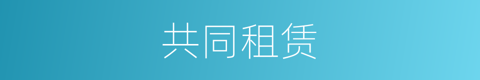 共同租赁的同义词
