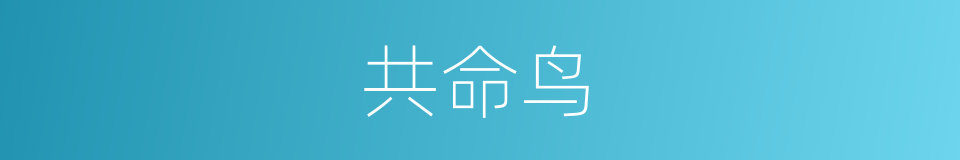共命鸟的意思