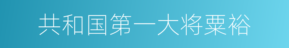 共和国第一大将粟裕的同义词