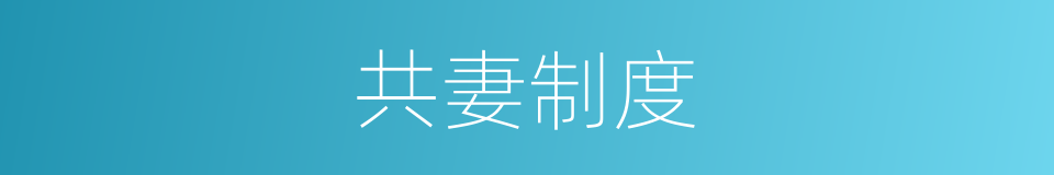 共妻制度的同义词