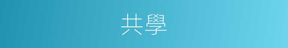共學的同義詞