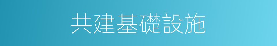 共建基礎設施的同義詞