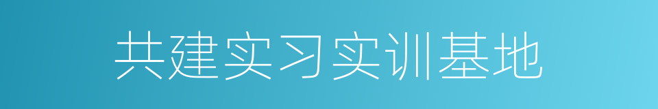 共建实习实训基地的同义词