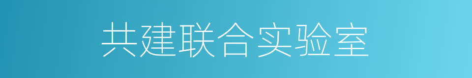 共建联合实验室的同义词