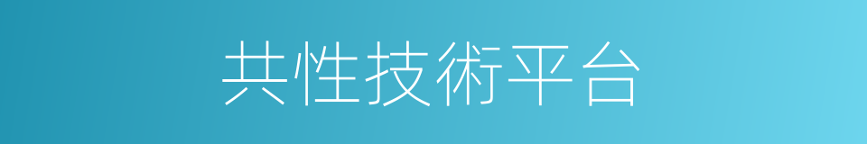 共性技術平台的同義詞