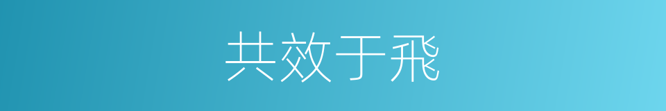 共效于飛的同義詞