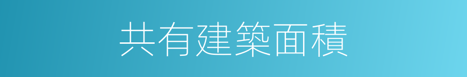 共有建築面積的同義詞