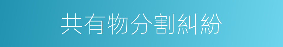 共有物分割糾紛的同義詞