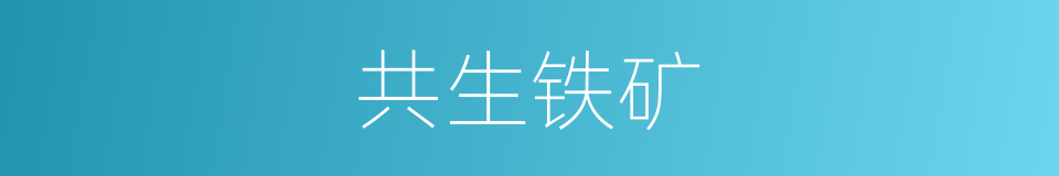 共生铁矿的同义词