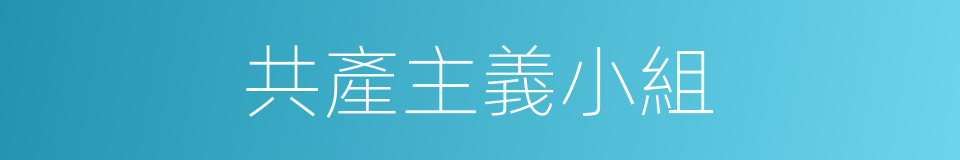 共產主義小組的意思