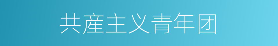 共産主义青年团的意思